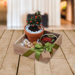 Bonsai-Mini-Manzano-Regalos-Quito UIO